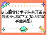毕节职业技术学院共开设有哪些类型奖学金(毕职院奖学金类型)