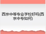 西京中等专业学校好吗(西京中专如何)