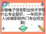 安徽电子信息职业技术学院什么专业最好，一年招多少人(安徽职院热门专业招生数)