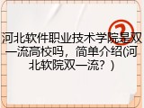 河北软件职业技术学院是双一流高校吗，简单介绍(河北软院双一流？)