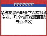 攀枝花攀西职业学院有哪些专业，几个校区(攀西职院专业校区)