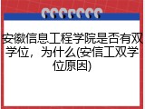 安徽信息工程学院是否有双学位，为什么(安信工双学位原因)