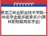 黑龙江林业职业技术学院一年奖学金最多能拿多少(黑林职院最高奖学金)