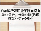 哈尔滨传媒职业学院有没有就业指导，好就业吗(哈传媒就业指导好吗)