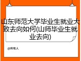 山东师范大学毕业生就业大致去向如何(山师毕业生就业去向)