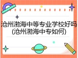 沧州渤海中等专业学校好吗(沧州渤海中专如何)