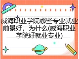 威海职业学院哪些专业就业前景好，为什么(威海职业学院好就业专业)