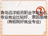 青岛远洋船员职业学院什么专业就业比较好，原因是啥(青船院好就业专业)