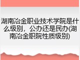 湖南冶金职业技术学院是什么级别，公办还是民办(湖南冶金职院性质级别)