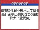 湖南软件职业技术大学毕业是什么学历有何优势(湖南软大毕业优势)