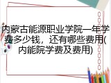 内蒙古能源职业学院一年学费多少钱，还有哪些费用(内能院学费及费用)