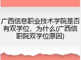 广西信息职业技术学院是否有双学位，为什么(广西信职院双学位原因)