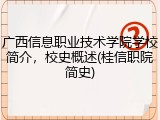 广西信息职业技术学院学校简介，校史概述(桂信职院简史)
