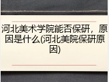 河北美术学院能否保研，原因是什么(河北美院保研原因)