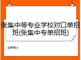 张集中等专业学校对口单招班(张集中专单招班)