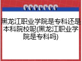 黑龙江职业学院是专科还是本科院校呢(黑龙江职业学院是专科吗)