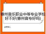 曹州音乐职业中等专业学校好不好(曹州音专好吗)