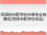 菏泽的中职学校中等专业有哪些(菏泽中职学校专业)