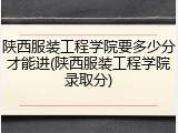陕西服装工程学院要多少分才能进(陕西服装工程学院录取分)