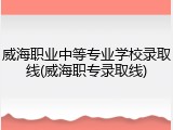 威海职业中等专业学校录取线(威海职专录取线)