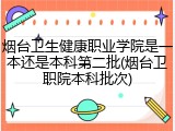 烟台卫生健康职业学院是一本还是本科第二批(烟台卫职院本科批次)