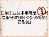 吕梁职业技术学院是一本吗录取分数线多少(吕梁职院录取线)