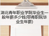湖北青年职业学院毕业生一般年薪多少钱(鄂青职院毕业生年薪)