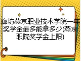 廊坊燕京职业技术学院一年奖学金最多能拿多少(燕京职院奖学金上限)