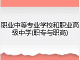 职业中等专业学校和职业高级中学(职专与职高)