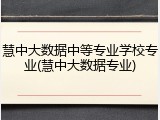 慧中大数据中等专业学校专业(慧中大数据专业)
