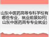山东中医药高等专科学校有哪些专业，就业前景如何(山东中医药高专专业就业)