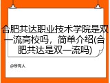 合肥共达职业技术学院是双一流高校吗，简单介绍(合肥共达是双一流吗)