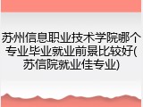 苏州信息职业技术学院哪个专业毕业就业前景比较好(苏信院就业佳专业)