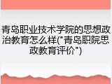 青岛职业技术学院的思想政治教育怎么样("青岛职院思政教育评价")
