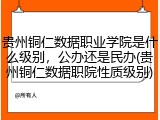 贵州铜仁数据职业学院是什么级别，公办还是民办(贵州铜仁数据职院性质级别)