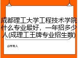成都理工大学工程技术学院什么专业最好，一年招多少人(成理工王牌专业招生数)