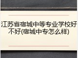 江苏省宿城中等专业学校好不好(宿城中专怎么样)