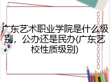 广东艺术职业学院是什么级别，公办还是民办(广东艺校性质级别)