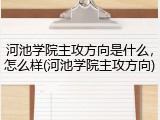 河池学院主攻方向是什么，怎么样(河池学院主攻方向)