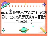 宣城职业技术学院是什么级别，公办还是民办(宣职院性质级别)