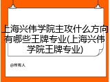 上海兴伟学院主攻什么方向有哪些王牌专业(上海兴伟学院王牌专业)