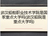 武汉船舶职业技术学院是国家重点大学吗(武汉船院是重点大学吗)