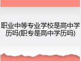 职业中等专业学校是高中学历吗(职专是高中学历吗)