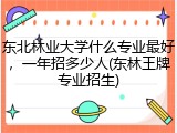 东北林业大学什么专业最好，一年招多少人(东林王牌专业招生)