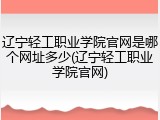 辽宁轻工职业学院官网是哪个网址多少(辽宁轻工职业学院官网)