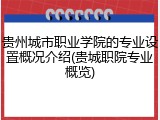 贵州城市职业学院的专业设置概况介绍(贵城职院专业概览)