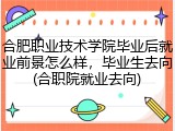 合肥职业技术学院毕业后就业前景怎么样，毕业生去向(合职院就业去向)