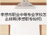 孝感市职业中等专业学校怎么样啊(孝感职专如何)