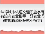蚌埠城市轨道交通职业学院有没有就业指导，好就业吗(蚌埠轨道职院就业指导)