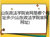 山东政法学院官网是哪个网址多少(山东政法学院官网网址)